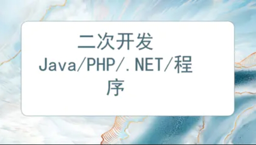 二次开发.NET/PHP/Java/程序软件开发	